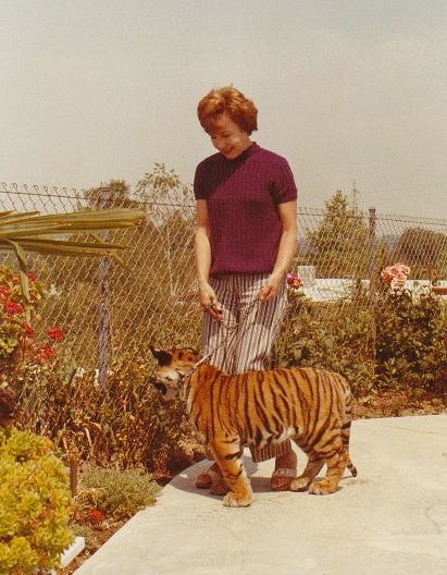 Rosemary Krug with bengal tiger Daisy